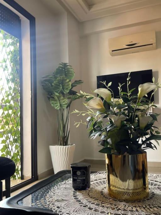 Appartement Superbe En Plein Centre *